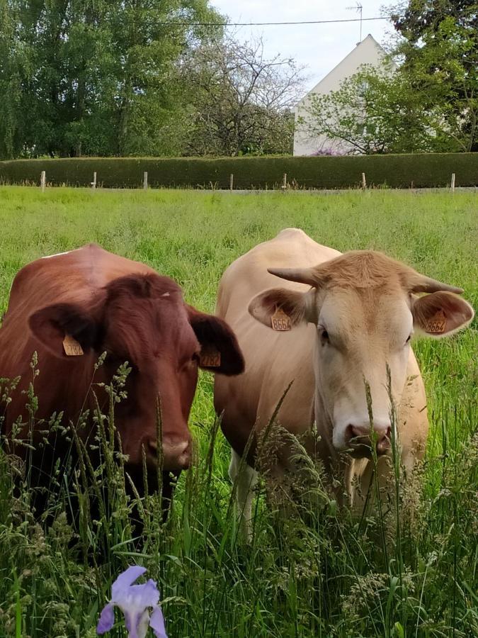 La Chaussee D'Olivet En Mayenne Екстер'єр фото