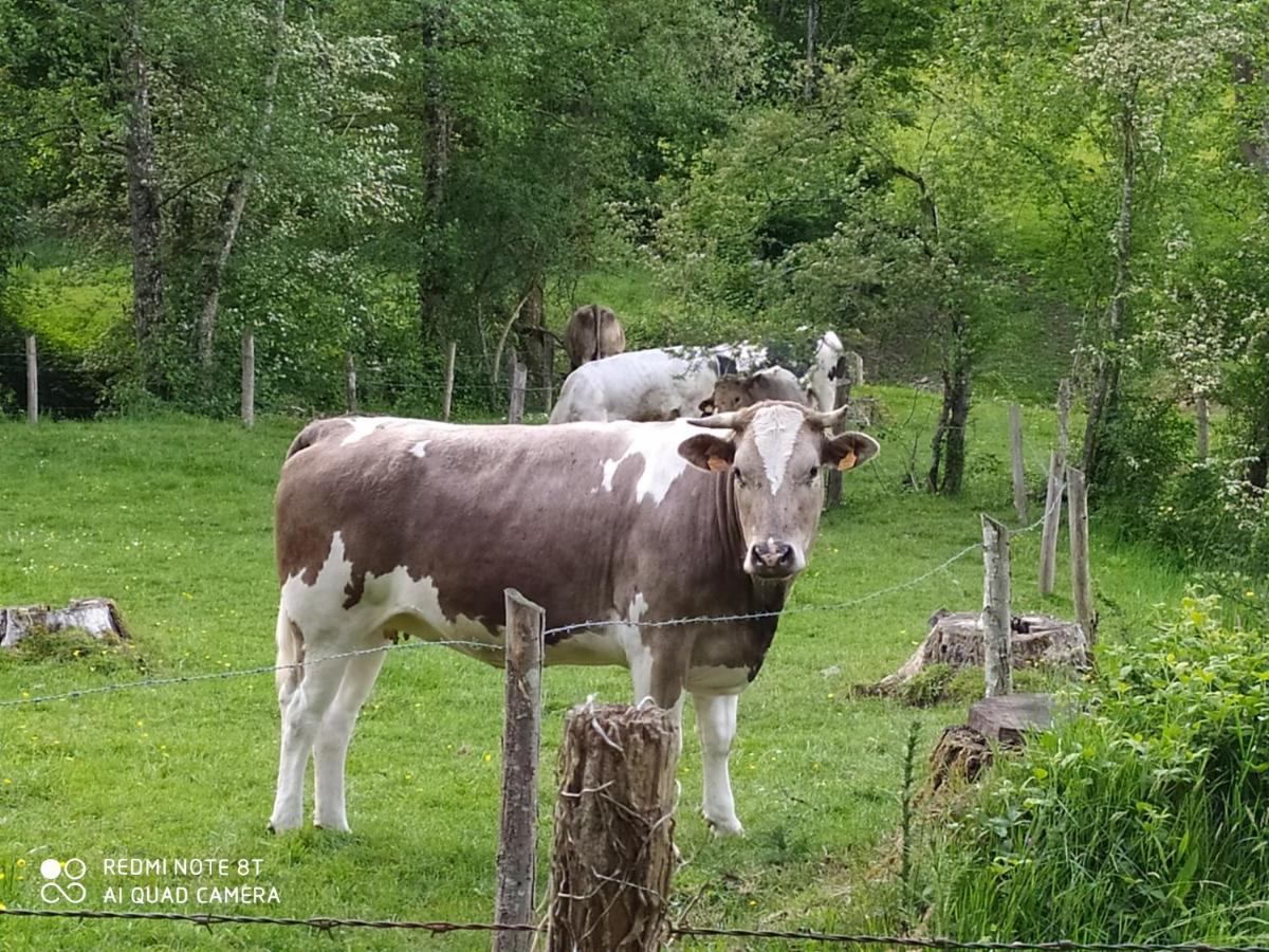 La Chaussee D'Olivet En Mayenne Екстер'єр фото